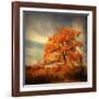 Orange Season-Philippe Sainte-Laudy-Framed Photographic Print