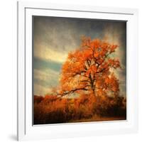 Orange Season-Philippe Sainte-Laudy-Framed Photographic Print