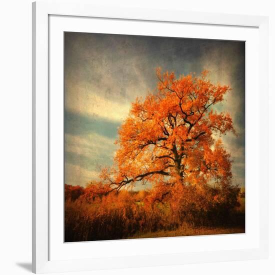 Orange Season-Philippe Sainte-Laudy-Framed Photographic Print