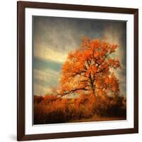 Orange Season-Philippe Sainte-Laudy-Framed Photographic Print