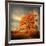 Orange Season-Philippe Sainte-Laudy-Framed Photographic Print