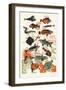 Orange Seaweed Fish, 2015-Eliza Southwood-Framed Giclee Print