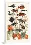 Orange Seaweed Fish, 2015-Eliza Southwood-Framed Giclee Print