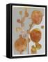 Orange Seed Pods 3-Maria Pietri Lalor-Framed Stretched Canvas