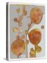 Orange Seed Pods 3-Maria Pietri Lalor-Stretched Canvas