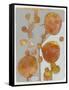 Orange Seed Pods 3-Maria Pietri Lalor-Framed Stretched Canvas