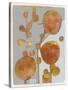 Orange Seed Pods 3-Maria Pietri Lalor-Stretched Canvas