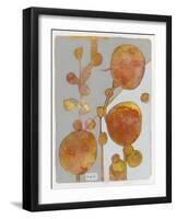 Orange Seed Pods 3-Maria Pietri Lalor-Framed Giclee Print