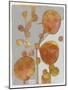 Orange Seed Pods 3-Maria Pietri Lalor-Mounted Giclee Print