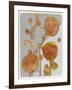 Orange Seed Pods 3-Maria Pietri Lalor-Framed Giclee Print