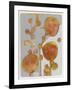 Orange Seed Pods 3-Maria Pietri Lalor-Framed Giclee Print