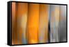 Orange Shades-Andrew Michaels-Framed Stretched Canvas