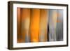 Orange Shades-Andrew Michaels-Framed Photographic Print