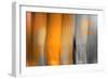Orange Shades-Andrew Michaels-Framed Photographic Print