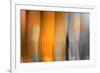 Orange Shades-Andrew Michaels-Framed Photographic Print