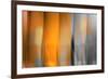 Orange Shades-Andrew Michaels-Framed Photographic Print