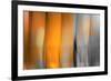 Orange Shades-Andrew Michaels-Framed Photographic Print