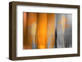 Orange Shades-Andrew Michaels-Framed Photographic Print