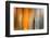 Orange Shades-Andrew Michaels-Framed Photographic Print