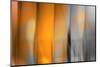 Orange Shades-Andrew Michaels-Mounted Photographic Print