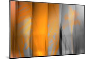 Orange Shades-Andrew Michaels-Mounted Photographic Print