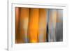 Orange Shades-Andrew Michaels-Framed Photographic Print