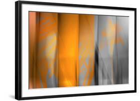 Orange Shades-Andrew Michaels-Framed Photographic Print