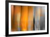 Orange Shades-Andrew Michaels-Framed Photographic Print