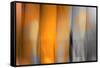 Orange Shades-Andrew Michaels-Framed Stretched Canvas