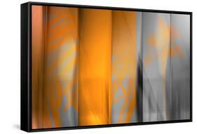 Orange Shades-Andrew Michaels-Framed Stretched Canvas