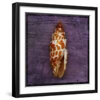 Orange Shell-John W Golden-Framed Giclee Print