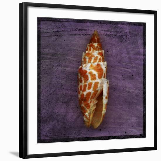 Orange Shell-John W Golden-Framed Giclee Print