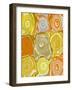 Orange Sherbert-Ricki Mountain-Framed Art Print