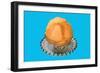 Orange Sherbert-null-Framed Premium Giclee Print