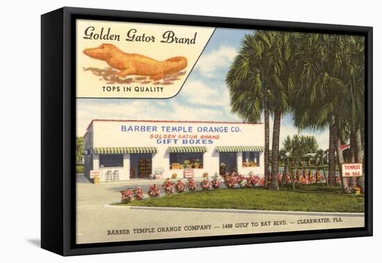 Orange Shop, Clearwater, Florida-null-Framed Stretched Canvas