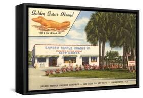 Orange Shop, Clearwater, Florida-null-Framed Stretched Canvas