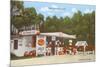 Orange Shop, Florida-null-Mounted Art Print