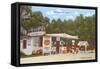 Orange Shop, Florida-null-Framed Stretched Canvas