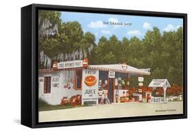Orange Shop, Florida-null-Framed Stretched Canvas