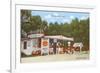 Orange Shop, Florida-null-Framed Premium Giclee Print