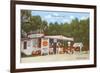 Orange Shop, Florida-null-Framed Premium Giclee Print