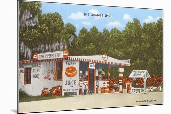 Orange Shop, Florida-null-Mounted Premium Giclee Print