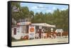 Orange Shop, Florida-null-Framed Stretched Canvas