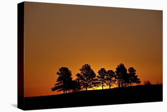 Orange Sky at Dawn, Custer State Park, South Dakota, United States of America, North America-James Hager-Stretched Canvas