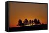 Orange Sky at Dawn, Custer State Park, South Dakota, United States of America, North America-James Hager-Framed Stretched Canvas
