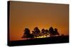 Orange Sky at Dawn, Custer State Park, South Dakota, United States of America, North America-James Hager-Stretched Canvas