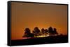 Orange Sky at Dawn, Custer State Park, South Dakota, United States of America, North America-James Hager-Framed Stretched Canvas