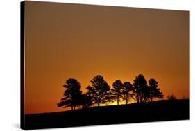 Orange Sky at Dawn, Custer State Park, South Dakota, United States of America, North America-James Hager-Stretched Canvas