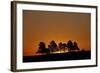 Orange Sky at Dawn, Custer State Park, South Dakota, United States of America, North America-James Hager-Framed Photographic Print