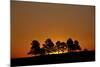 Orange Sky at Dawn, Custer State Park, South Dakota, United States of America, North America-James Hager-Mounted Photographic Print